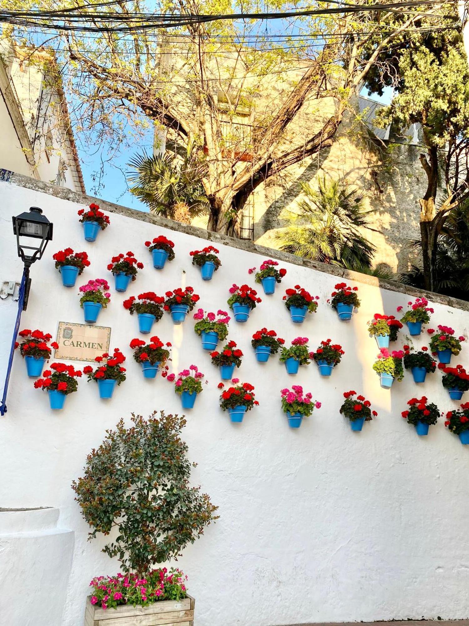Studio Oasis In 2º Line Beach In The Centre Of Marbella - Eaw Homes المظهر الخارجي الصورة